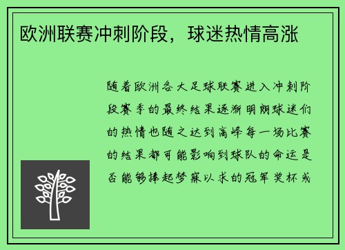 欧洲联赛冲刺阶段，球迷热情高涨