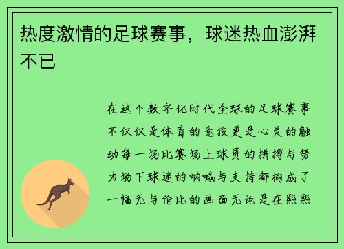 热度激情的足球赛事，球迷热血澎湃不已