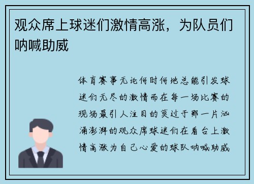 观众席上球迷们激情高涨，为队员们呐喊助威