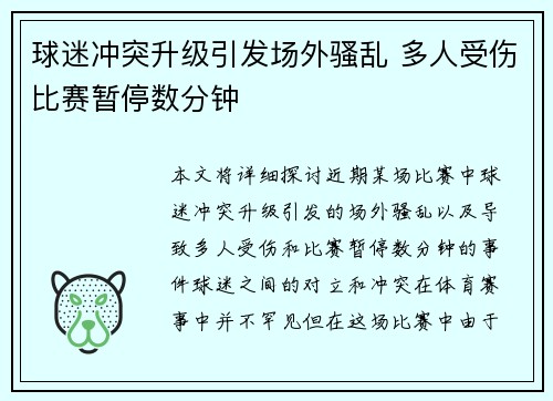 球迷冲突升级引发场外骚乱 多人受伤比赛暂停数分钟