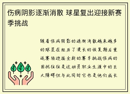 伤病阴影逐渐消散 球星复出迎接新赛季挑战