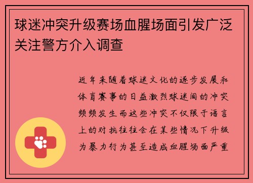 球迷冲突升级赛场血腥场面引发广泛关注警方介入调查